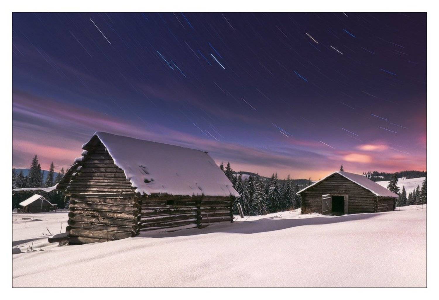 , Денис Кривой