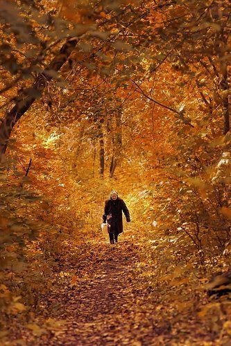 road from the spring