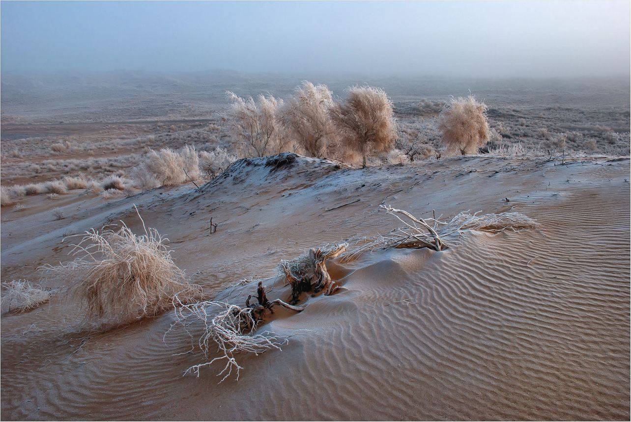 природа, Геннадий Меремьянин