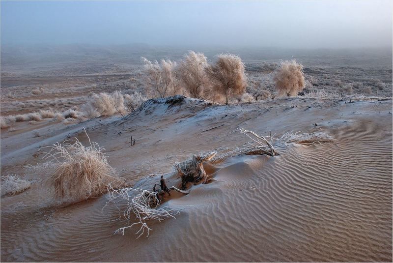 природа Без цивилизации.... фото превью