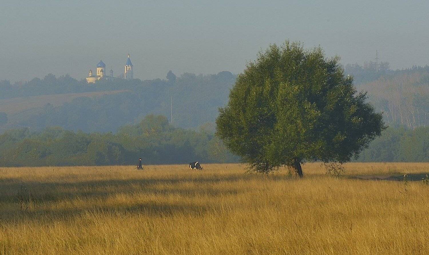 , Андрей Балабин