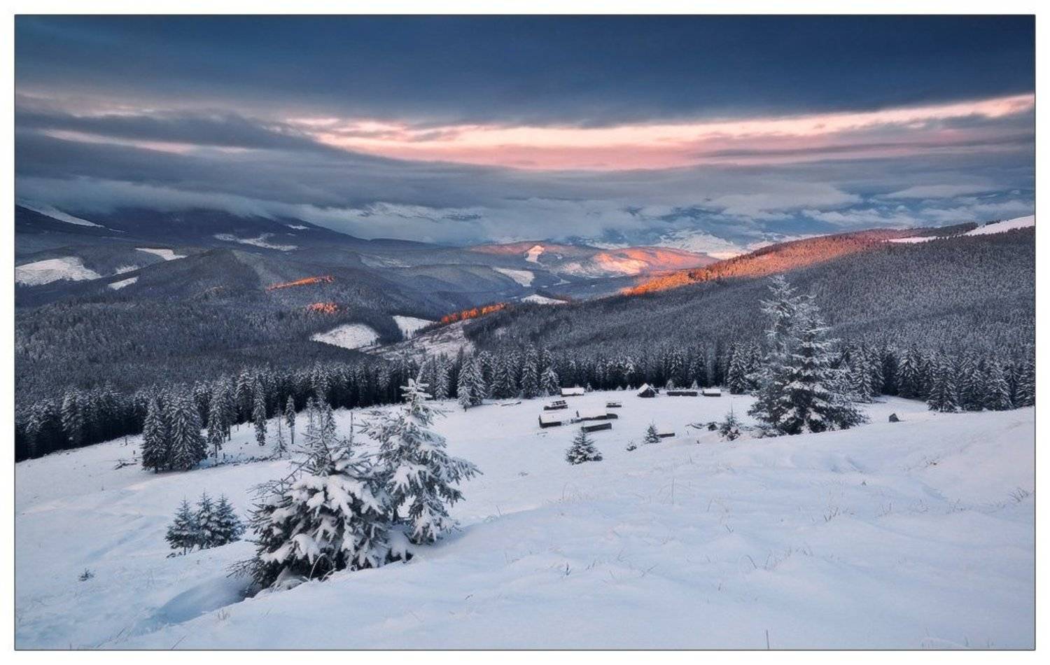 , Денис Кривой