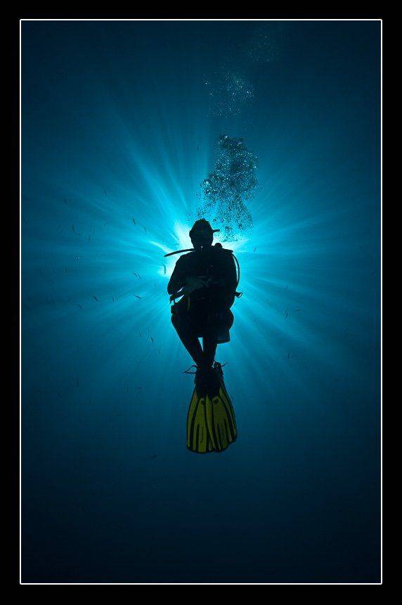 солнце, Дмитрий