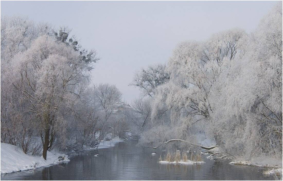 зимнее, утро, Николай