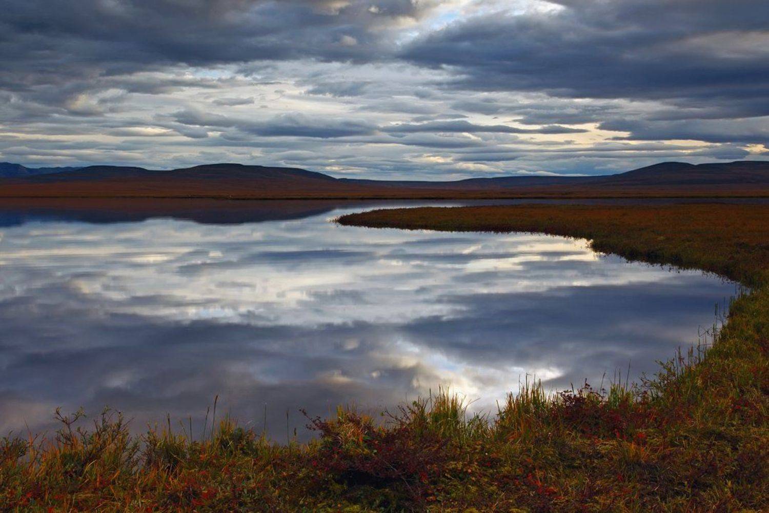 чукотка, пейзаж, природа, небо, облака, растения, сопки, осень, россия, север, тундра, цвет, свет, озеро, вода, берег, отражение,, Сергей Шульга