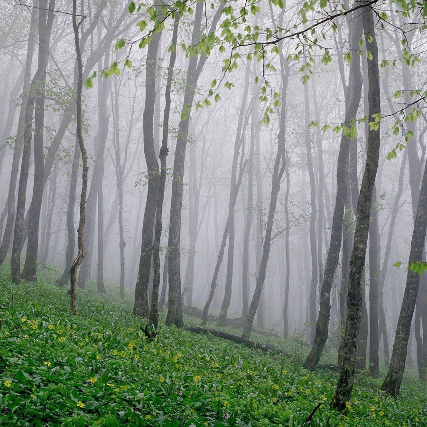 , Роман Путинцев