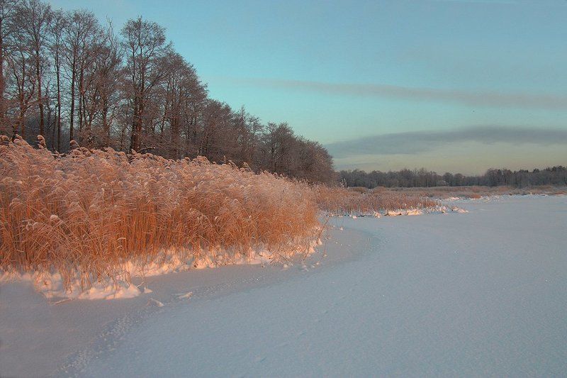 Первые лучи. фото превью