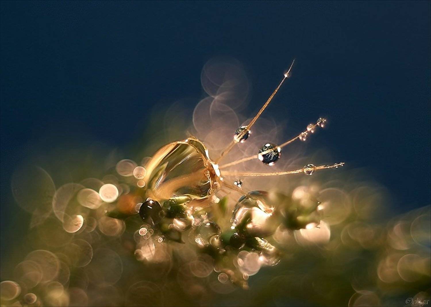 вода, капли, Chiga