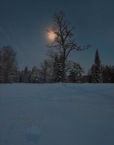 Сумерки