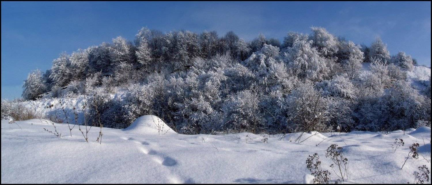 зима, мороз, снег, иней, следы, Владимир