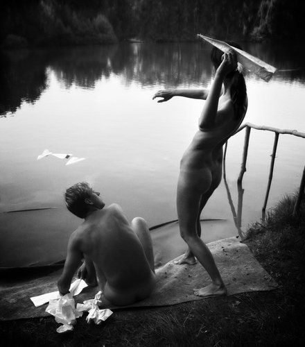 Swallows