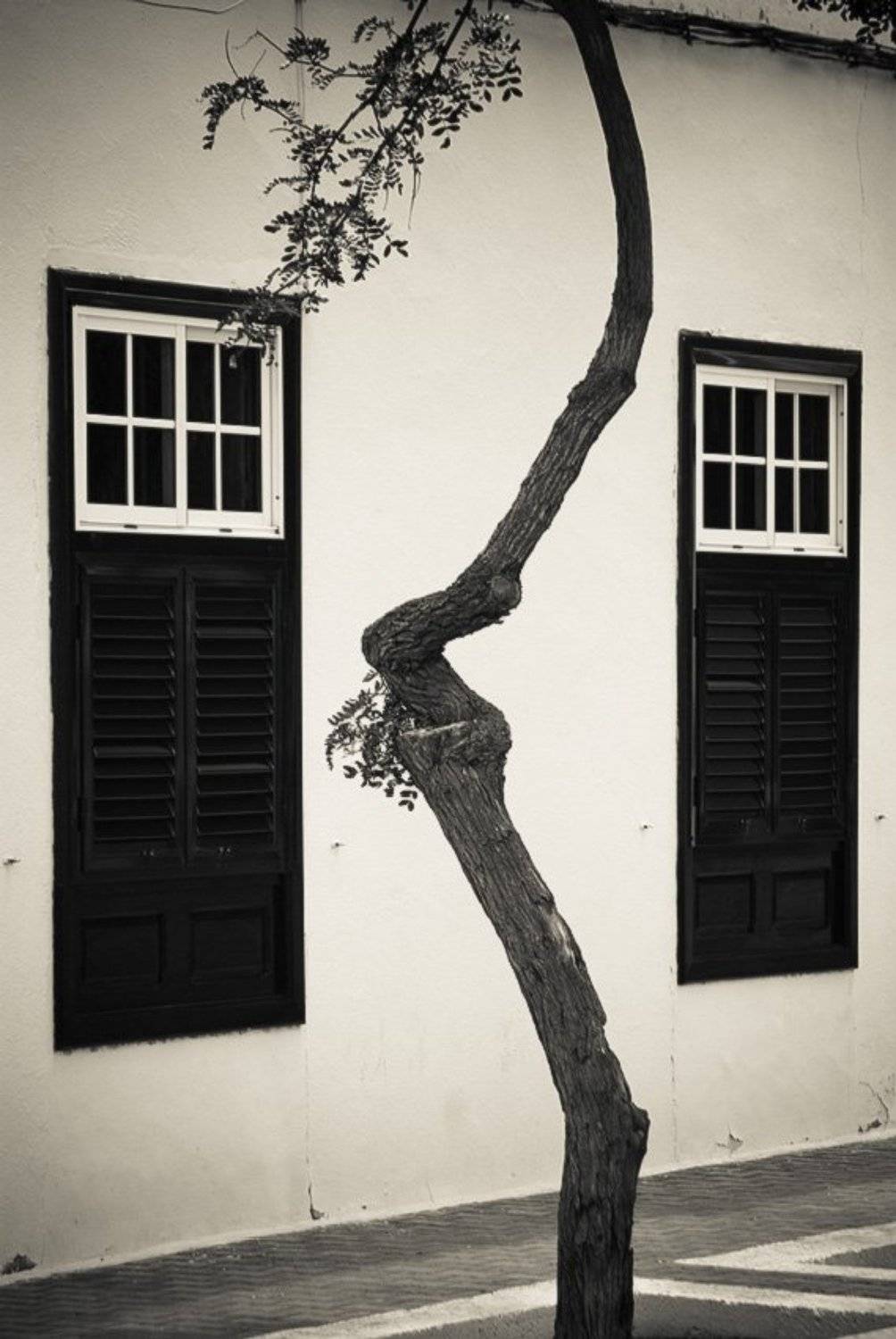 лансароте, Александр Константинов