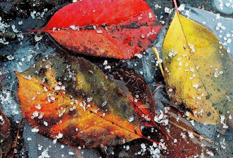 , Качурин Алексей