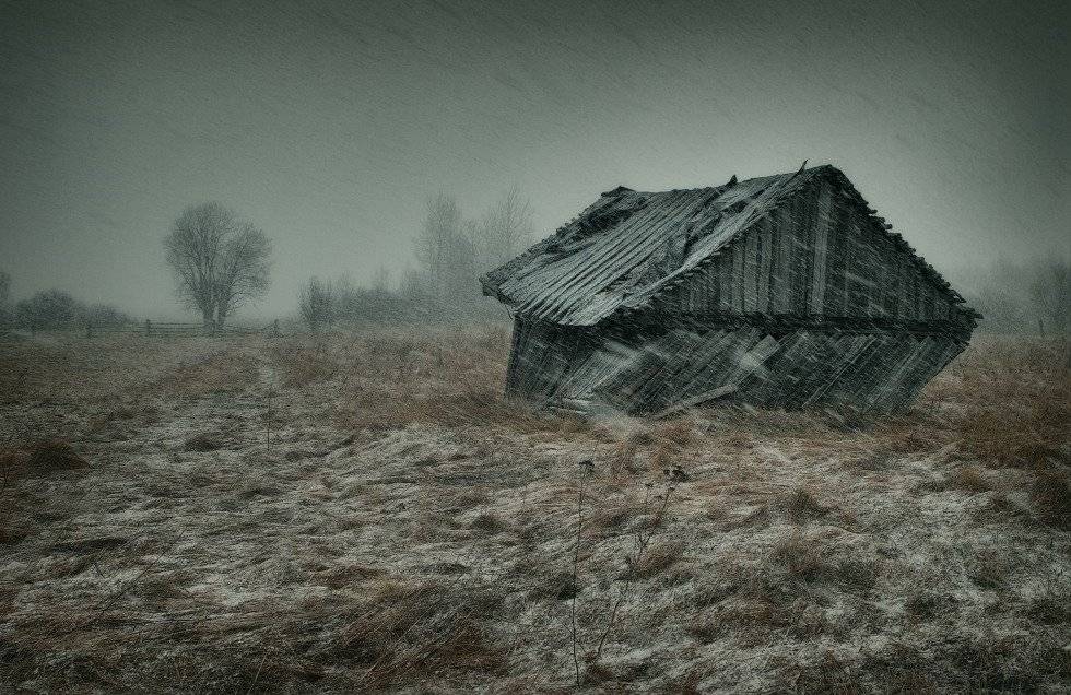 , Владимир Липецких