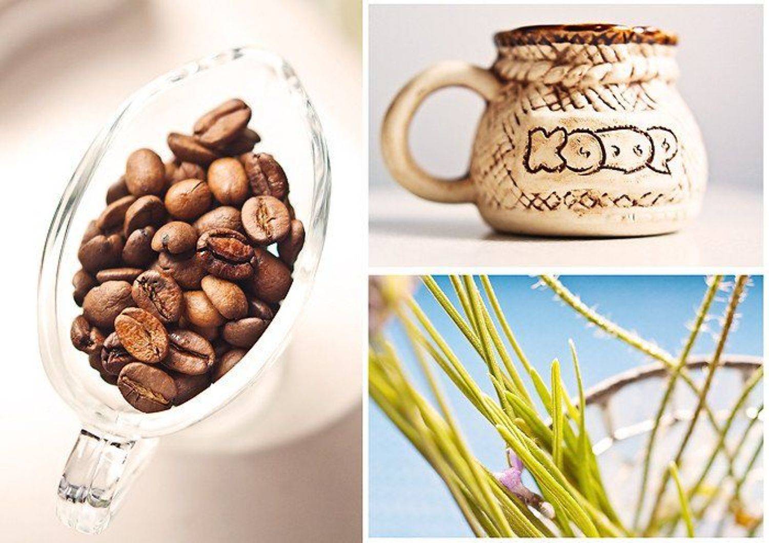 kofe, morning, Alena