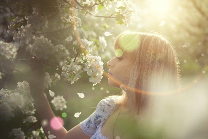 *** фото превью