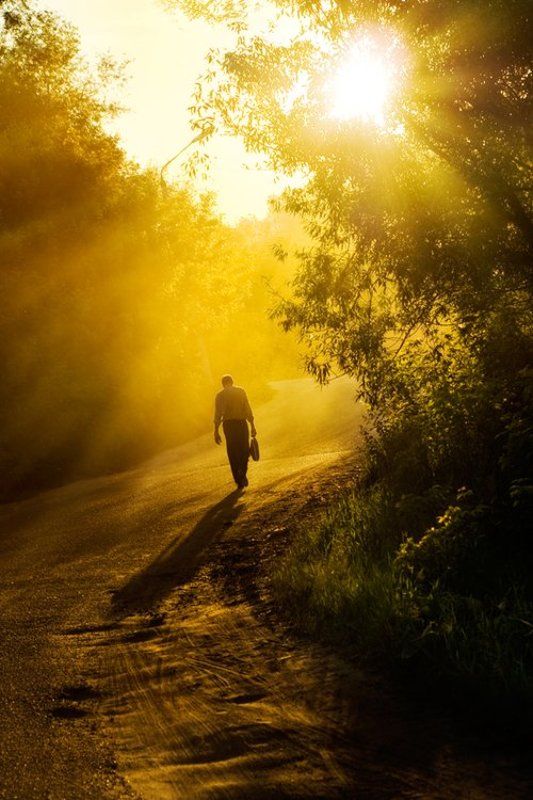 домой фото превью