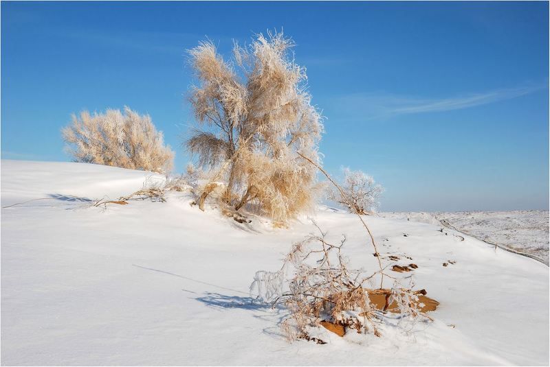 пирода Ну здравствуй....... фото превью
