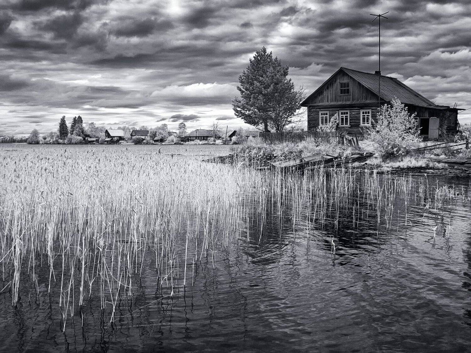 , Максим Евдокимов