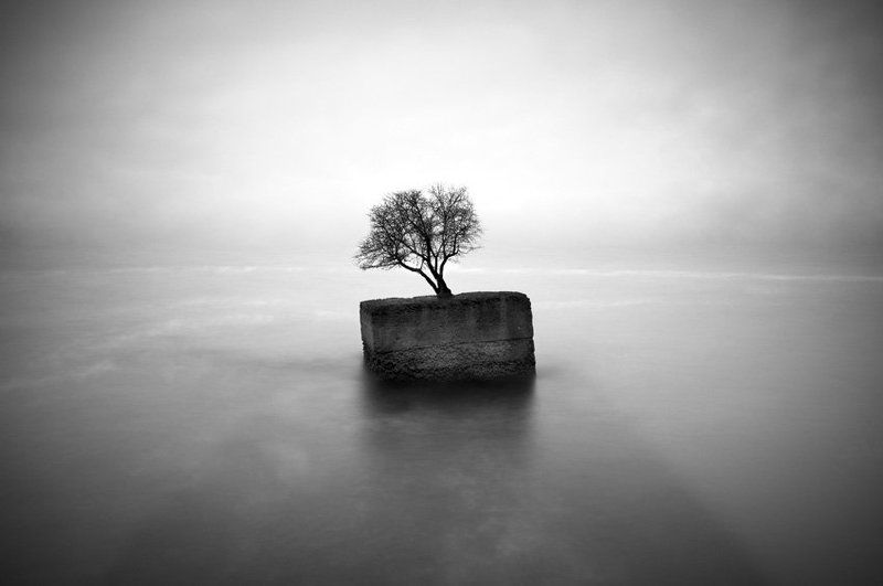 One фото превью