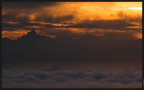 Новые чувства