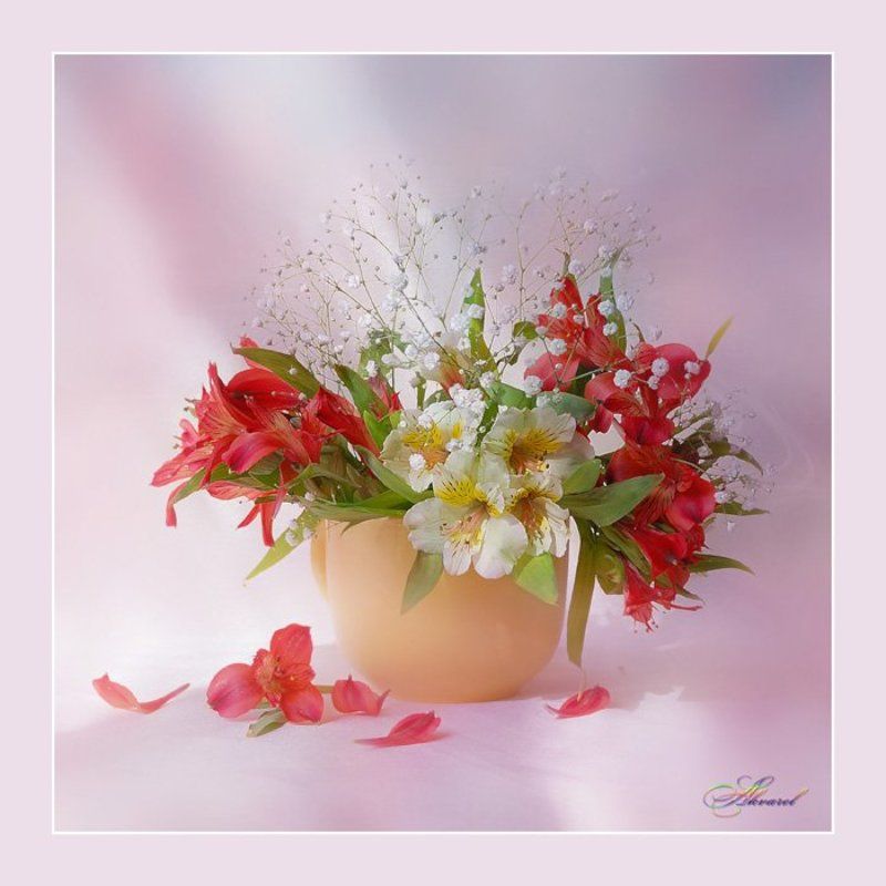 *** фото превью