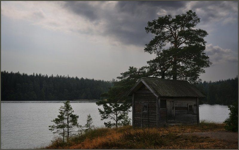 ладога, валаам, остров, озеро, таможня, тучи, берег, сосны Таможня фото превью