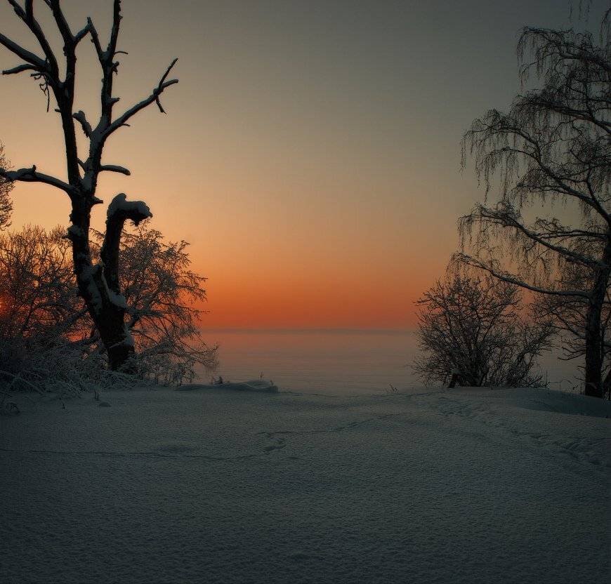 , Владимир Липецких