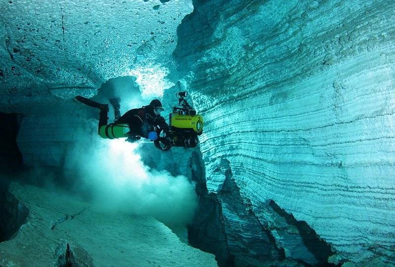 , Витя Лягушкин