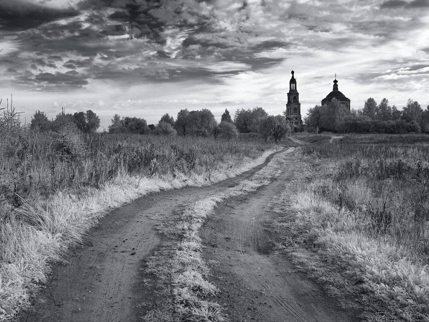 , Максим Евдокимов