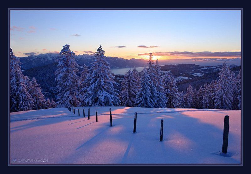 Предновогодняя фото превью