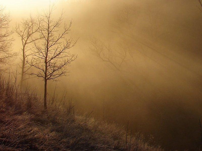 утренняя фото превью