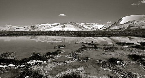 лето на 3942м (вариант)