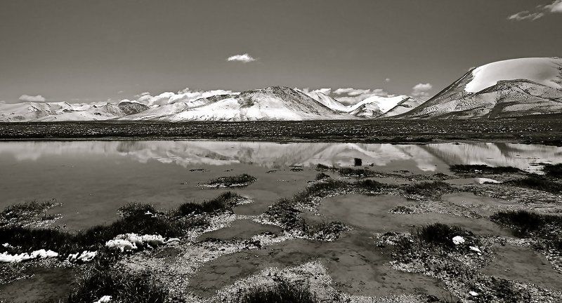 горы, лето, плато, тянь-шань лето на 3942м (вариант) фото превью