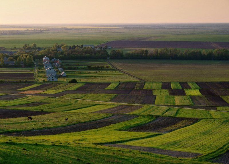 Заплатки фото превью
