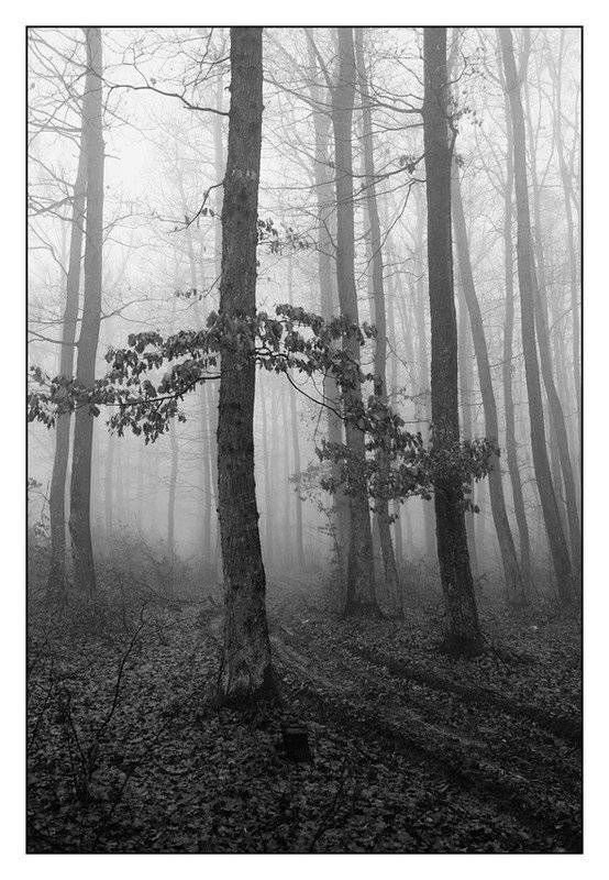 средь, шумного, бала.., Alice Grey