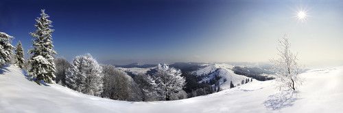 Sweet winter in Karpatiya