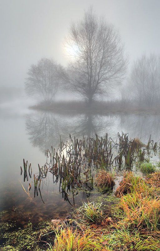 Туманное утро фото превью