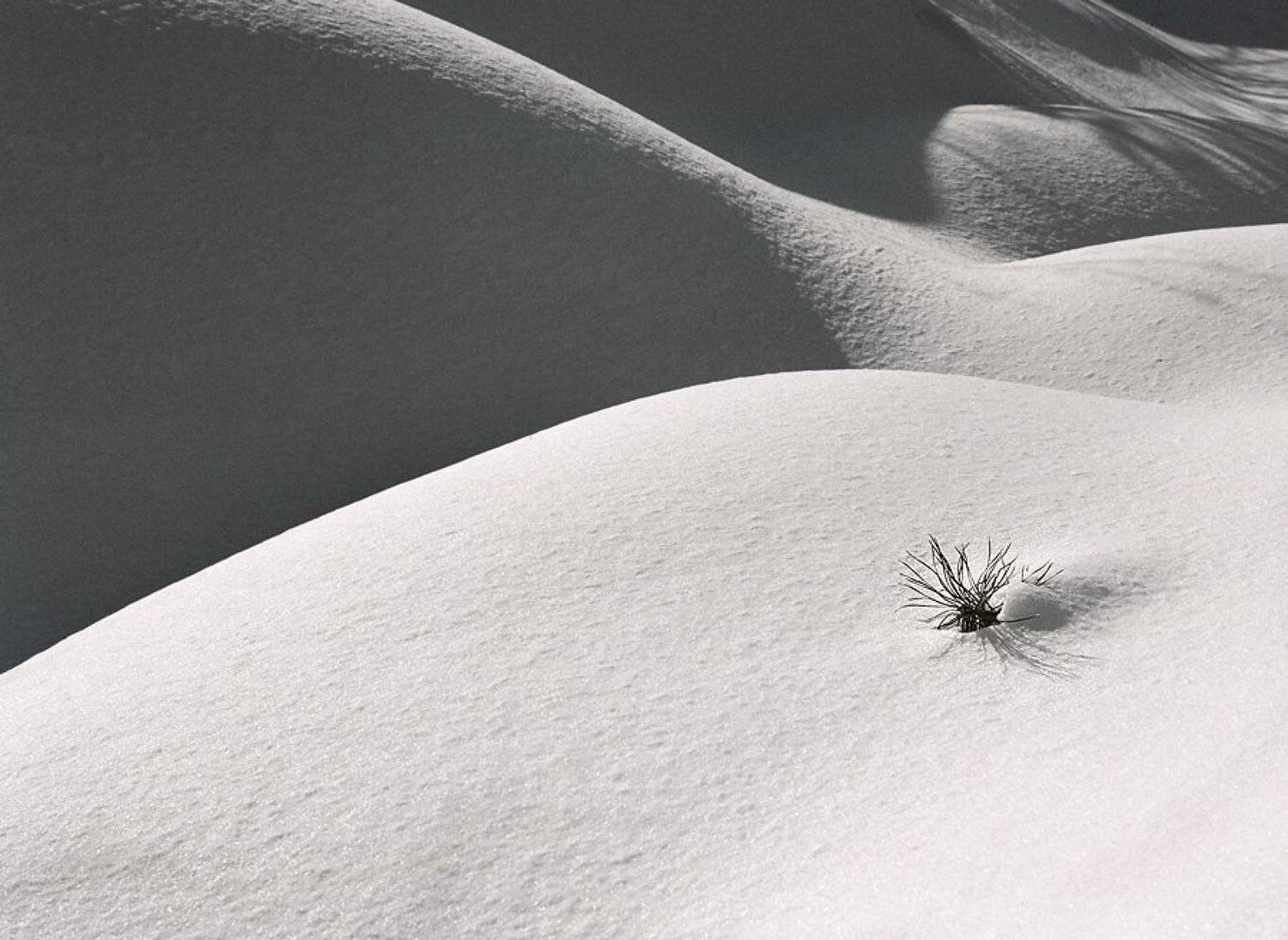 , Илья Долгов