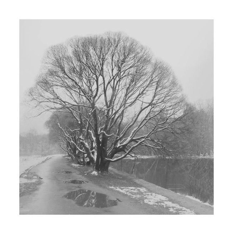 Поздняя осень фото превью