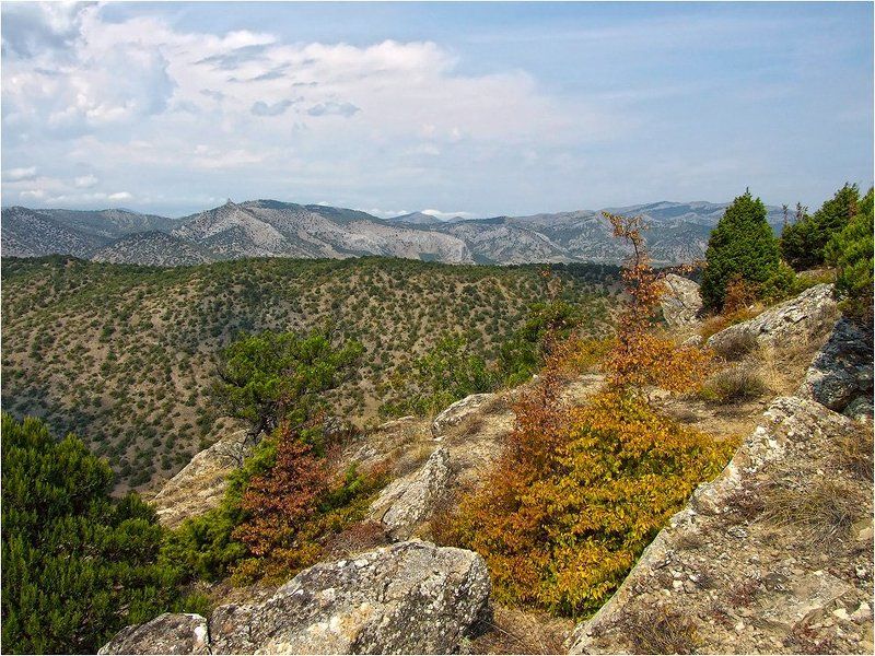 *** фото превью