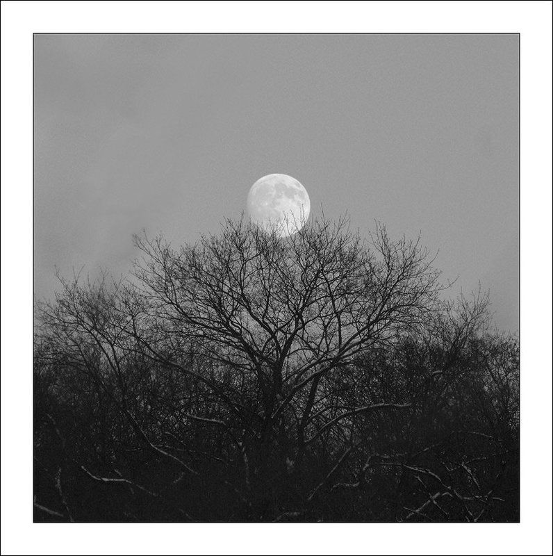 луна, лысая гора Где-то на Лысой Горе... фото превью