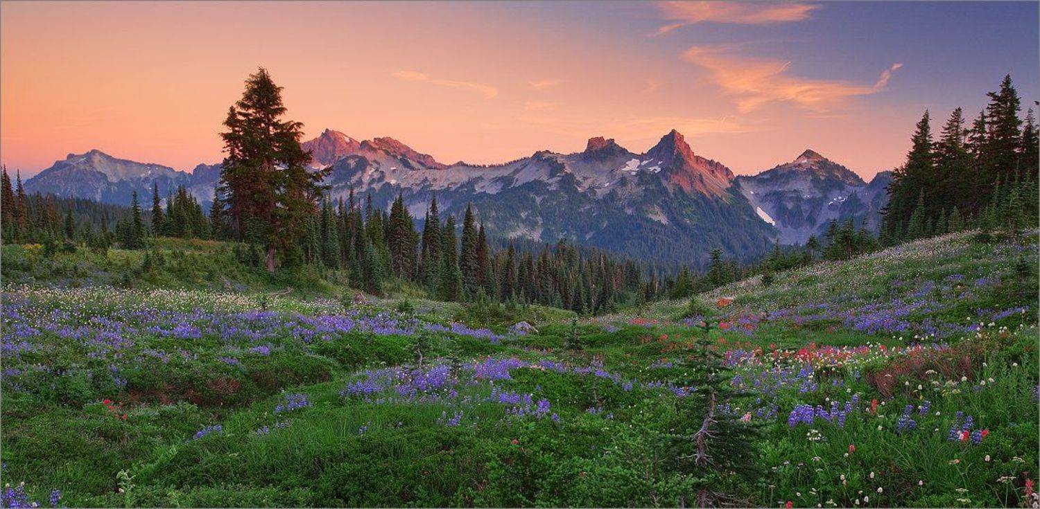 paradise, mt.rainier,, Ben Marar