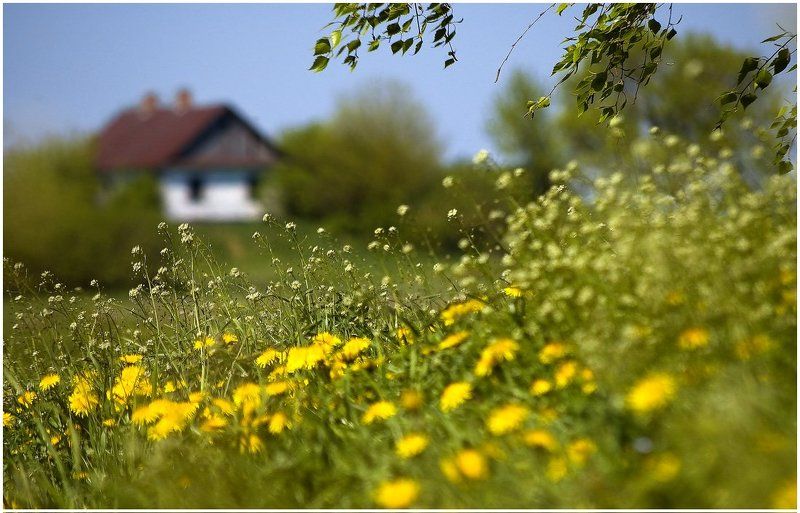 тёплые воспоминания... фото превью