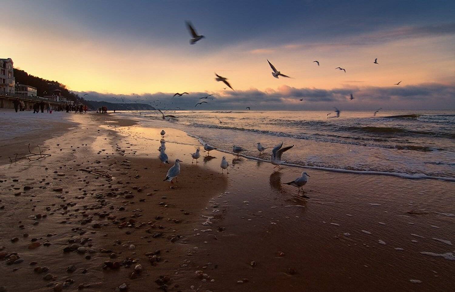 вечер, светлогорск, Александр Титаренко