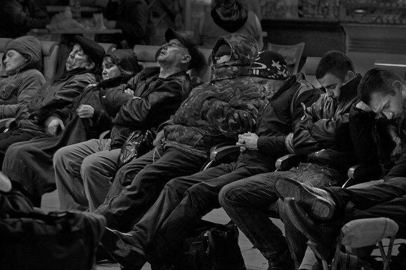 анабиоз фото превью