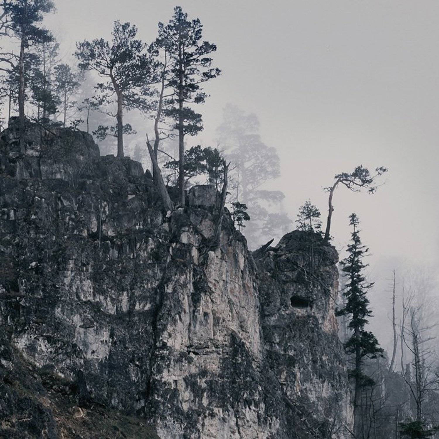 mamiya, fuji, rpdiii, Роман Путинцев