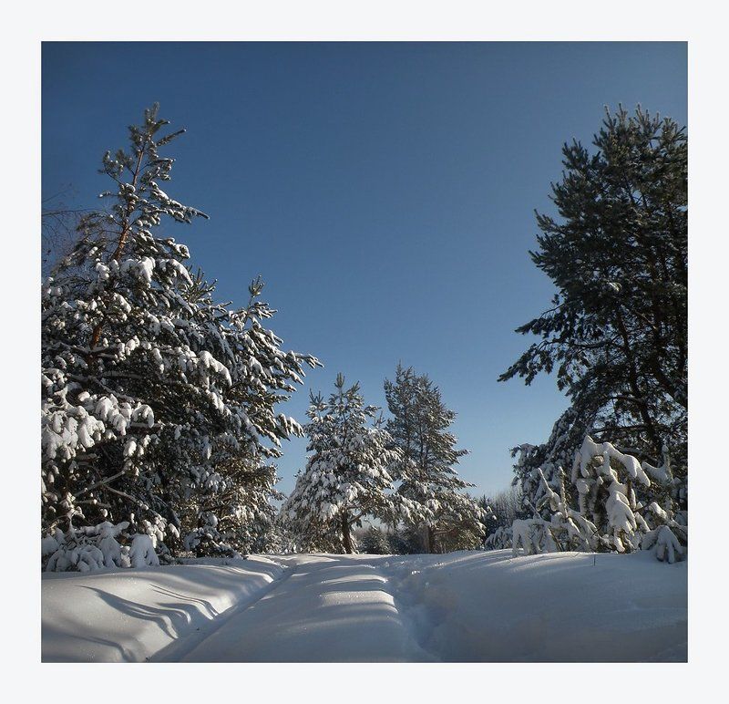 * * * фото превью