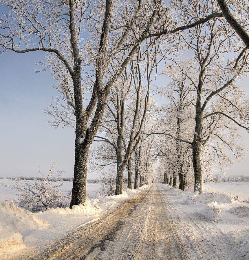 , Павел Дунюшкин