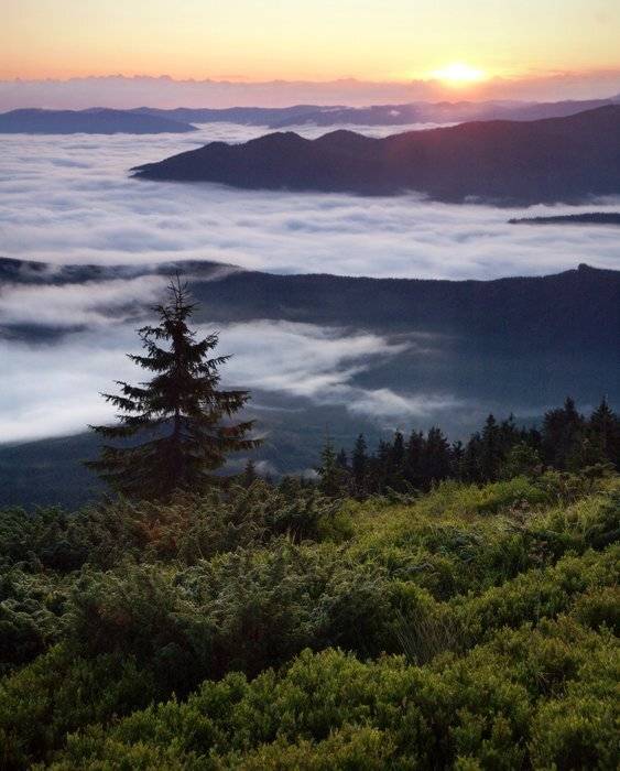 карпаты, природа, пейзаж, панорама, горы, рассвет, Piligrim